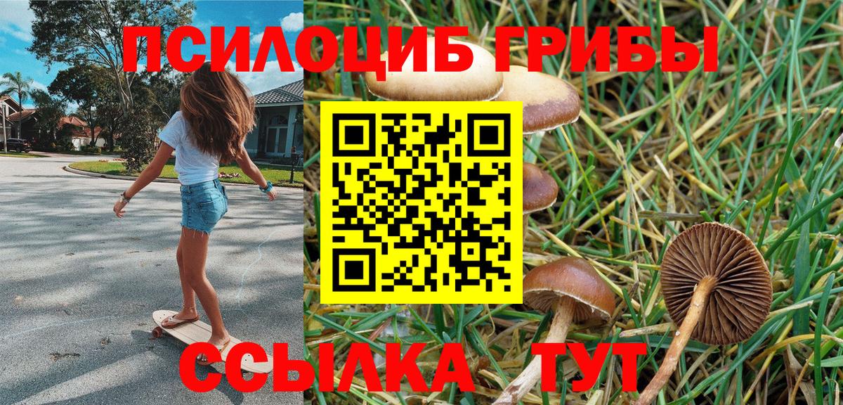 Саяногорск  Псилоцибиновые грибы MAGIC MUSHROOMS  Псилоцибиновые грибы мицелий  купить закладку  Вход с VPN 
