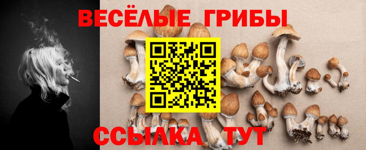 Псилоцибиновые грибы GOLDEN TEACHER Саяногорск